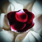 Petali di rosa finti Rose Petal Explosion Bijoux Indiscrets